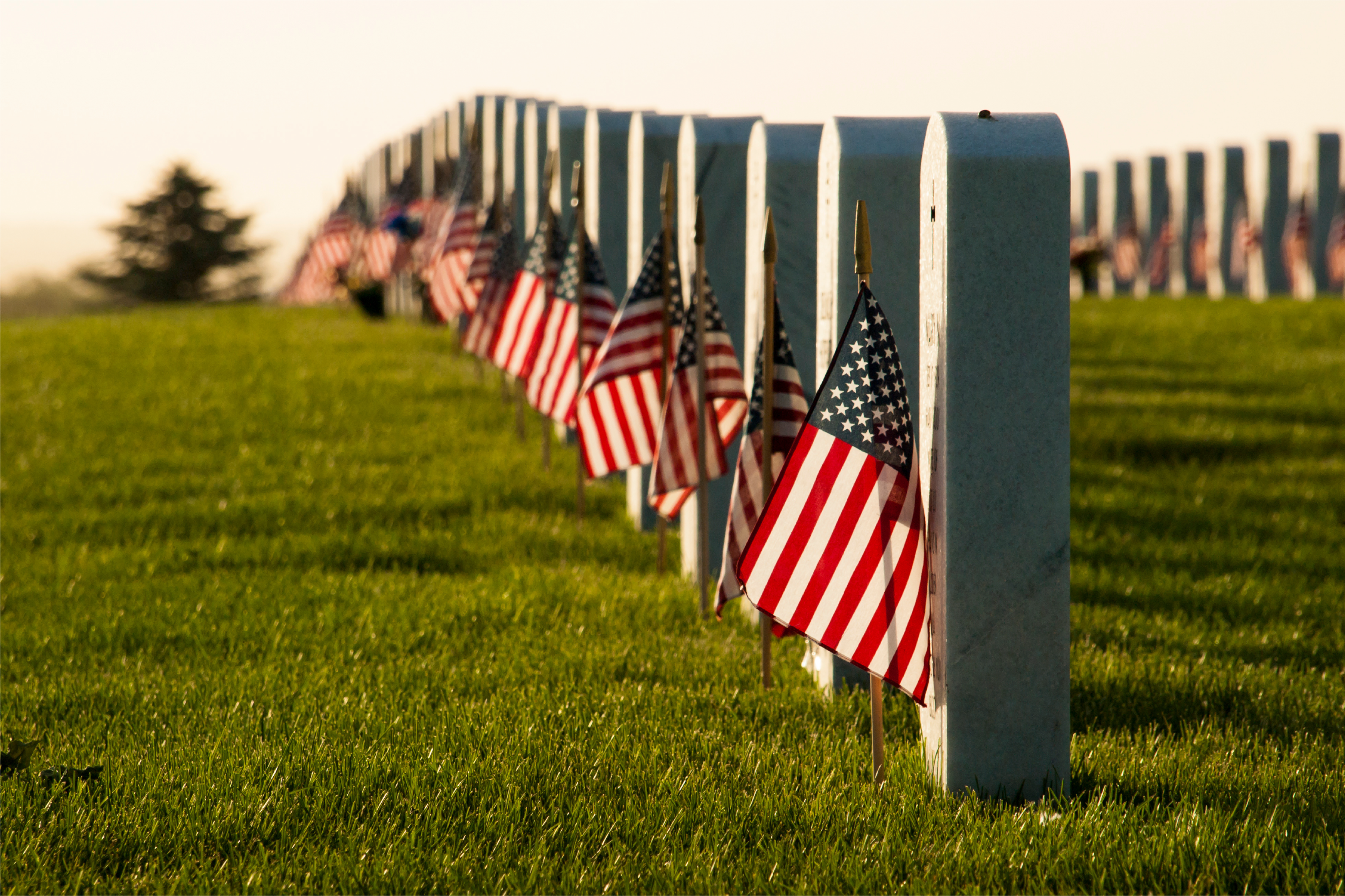 Flags in cemetery